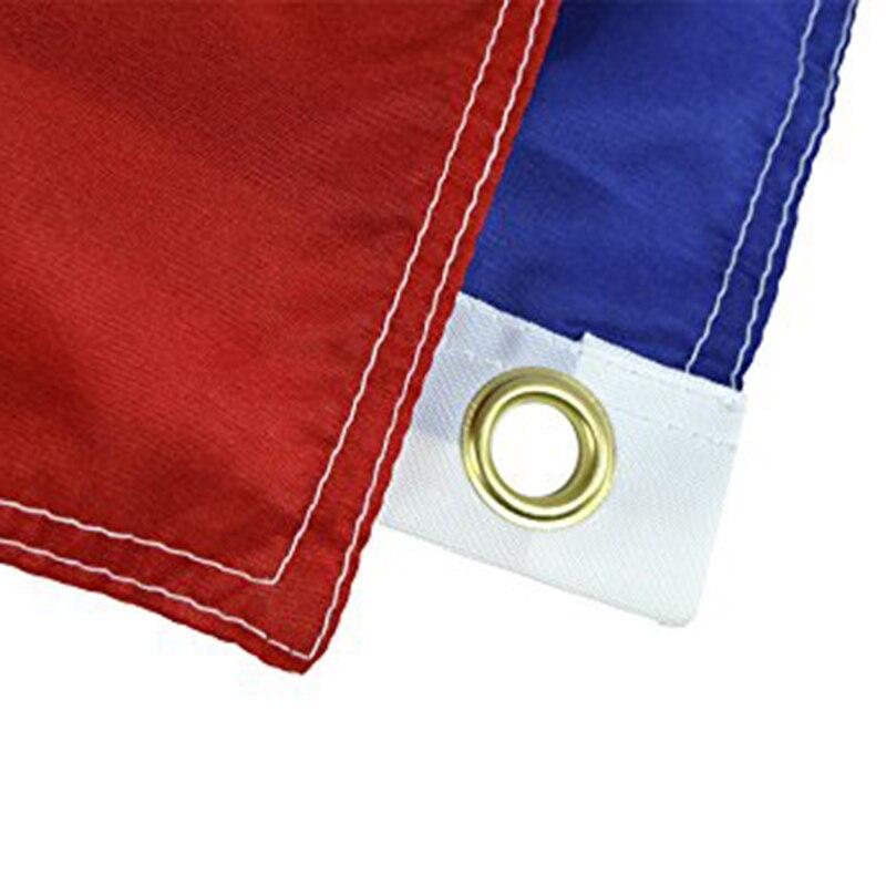 Bandiera Vintage del Texas