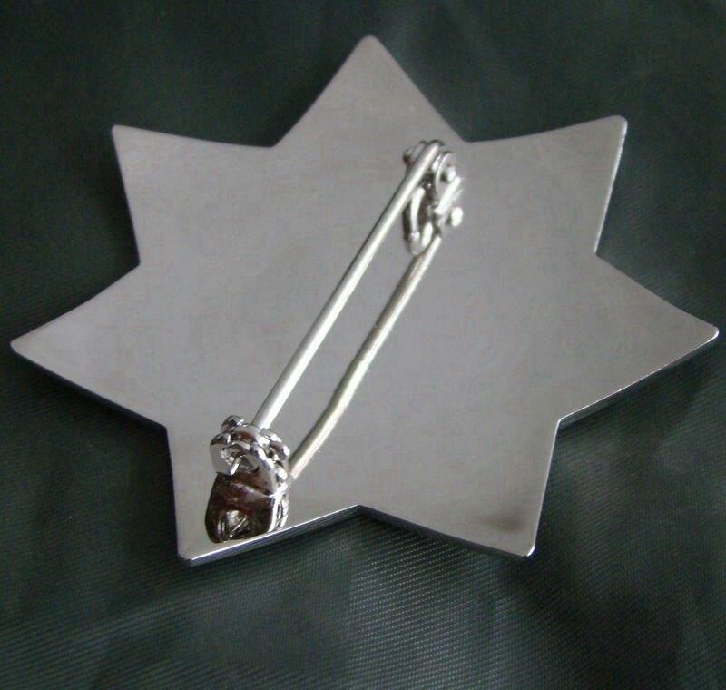 Distintivo vintage della polizia americana