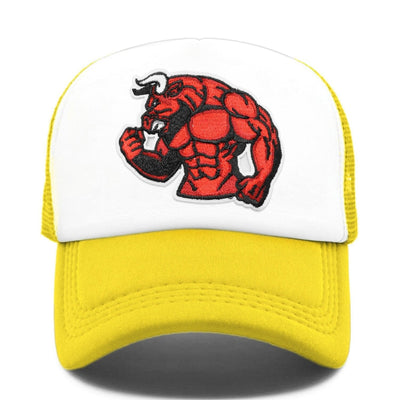 Cappellino vintage dei Chicago Bulls