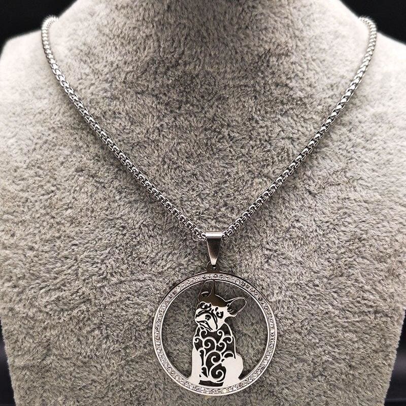 Collare Bulldog americano vintage