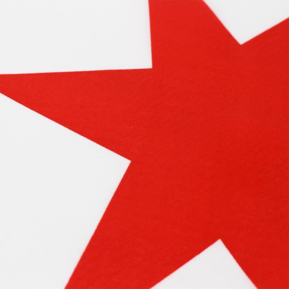 Bandiera dell'annata di Chicago