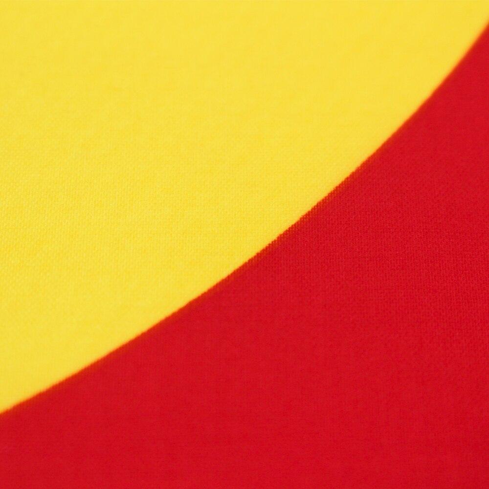 Bandiera dell'annata del Colorado