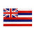 Bandiera dell'annata delle Hawaii