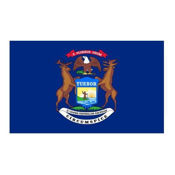 Bandiera dell'annata del Michigan