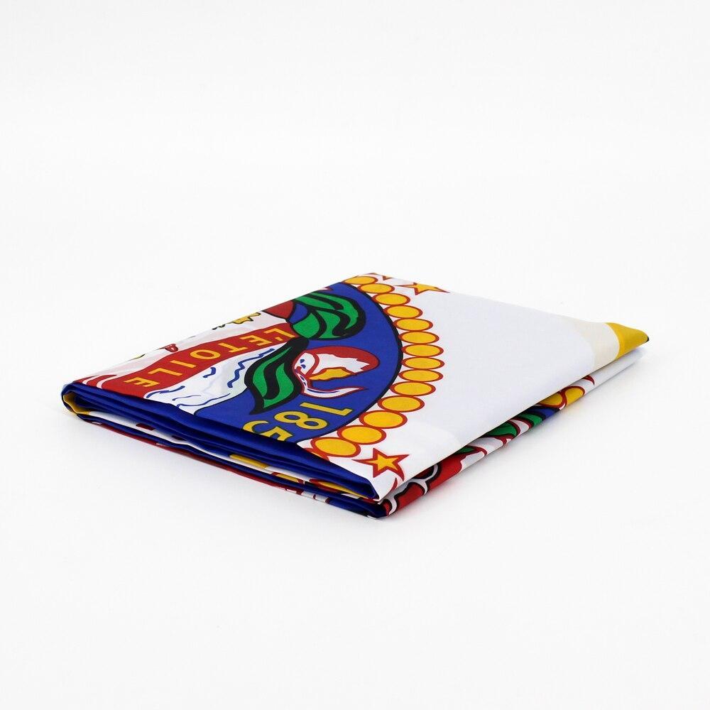 Bandiera Vintage del Minnesota