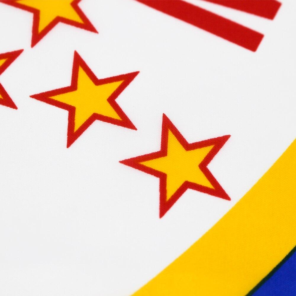 Bandiera Vintage del Minnesota