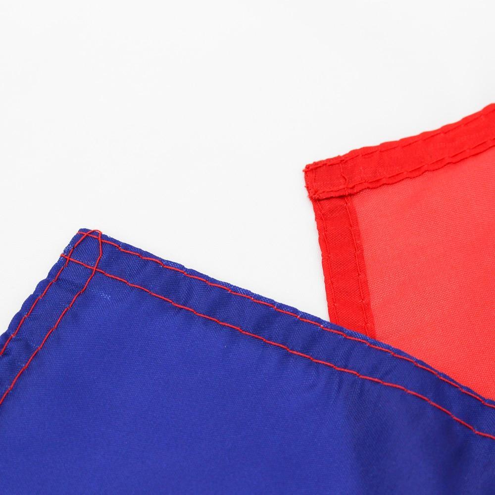 Bandiera dell'annata Mississippi