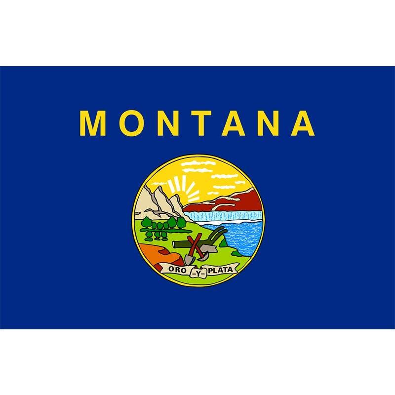 Bandiera Vintage del Montana