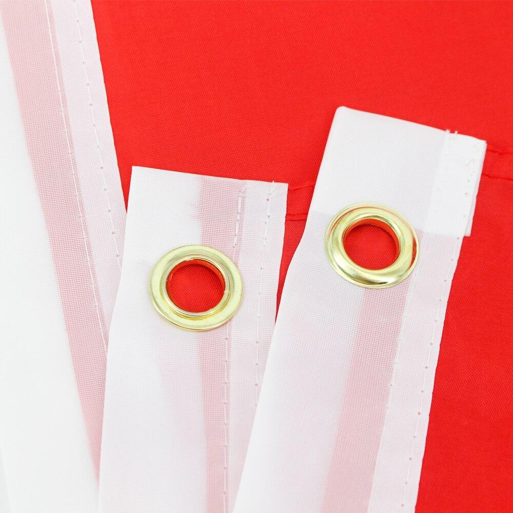 Bandiera dell'annata del Tennessee