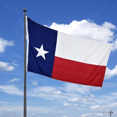 Bandiera Vintage del Texas