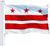 Bandiera dell'annata di Washington D.C