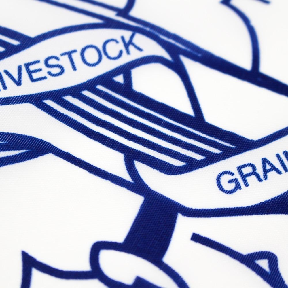 Bandiera Vintage del Wyoming