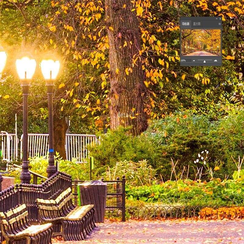 Carta da parati vintage per ragazze di New York