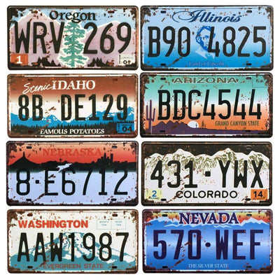 Piatto Vintage del Minnesota