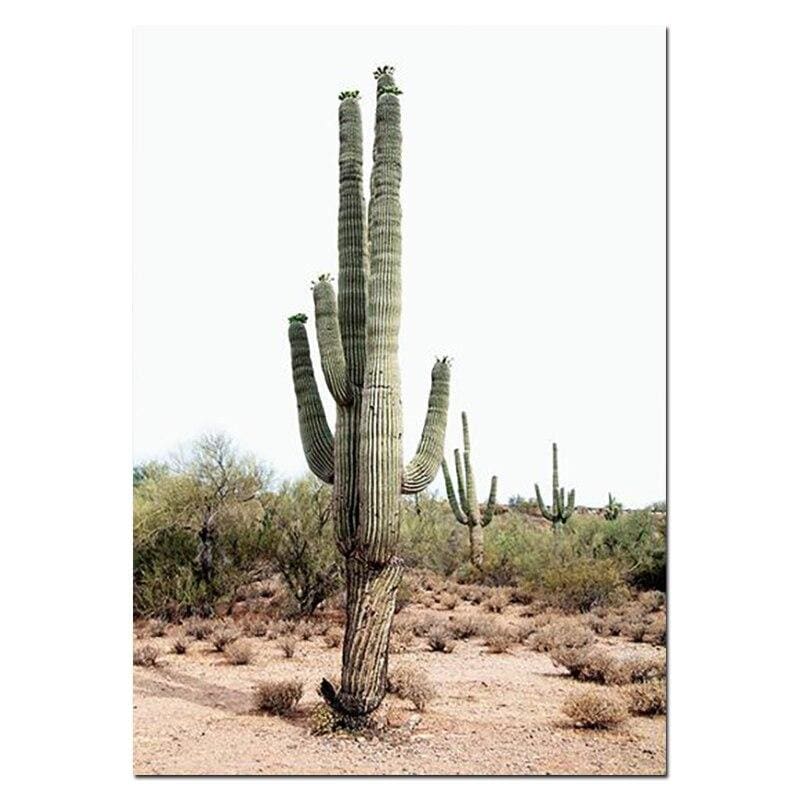 Pittura Vintage dell'Arizona