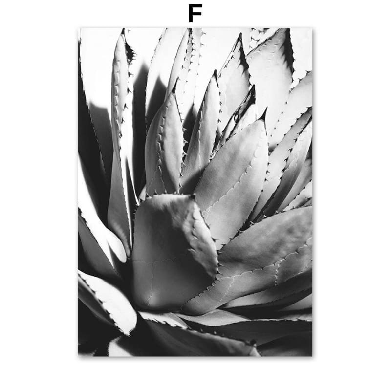 Pittura Vintage del Grand Canyon