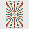 Tappeti vintage USA